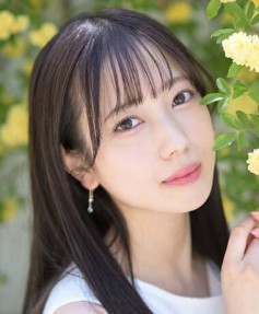 코미나토 요츠하