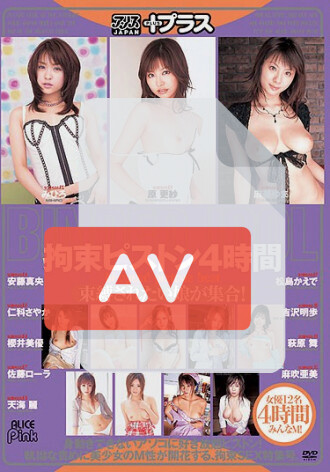 PDV-027