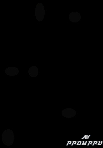 HIB-20