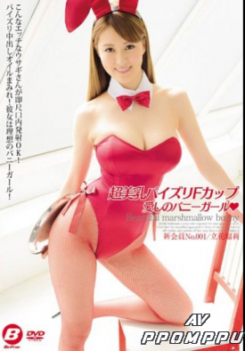 BF-497 품번 이미지