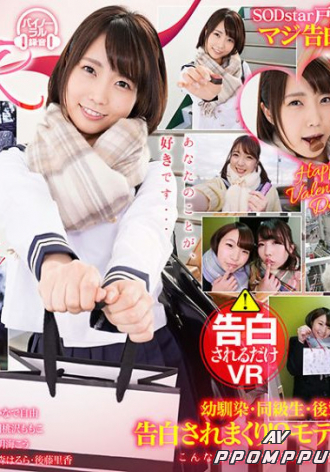 3DSVR-0397