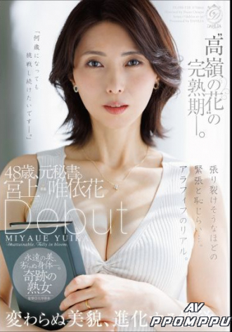 DLDSS-528
