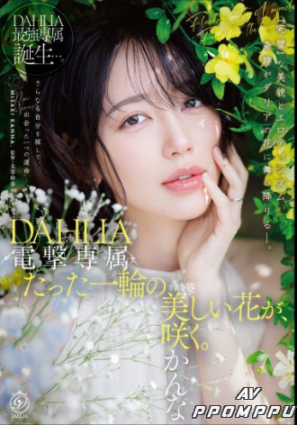 DLDSS-532